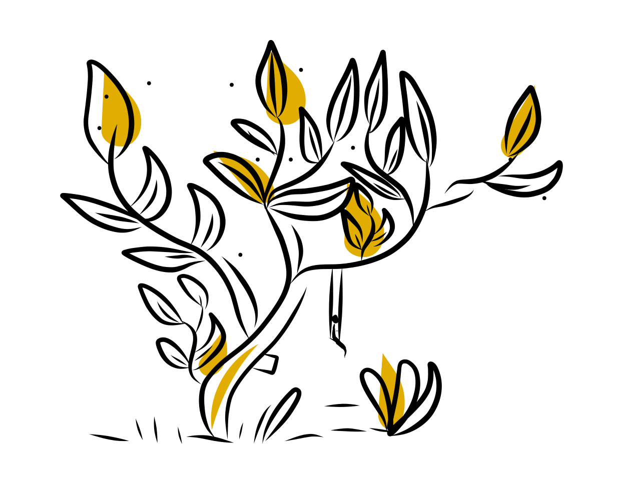 Care Leaver, Rajasthan